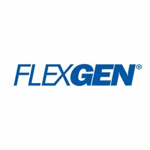 FlexGen Power